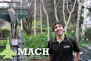 Landscaping Gardener Mount Eliza Maintenance