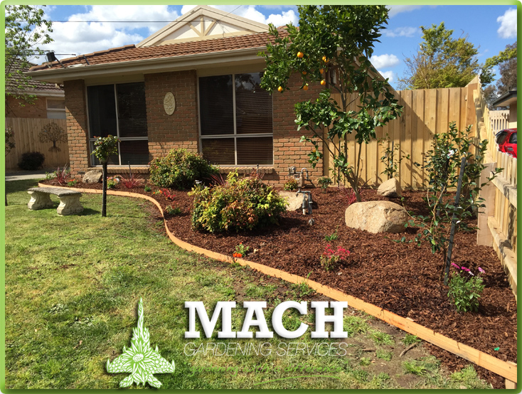 After Garden Design Mount Eliza Gardening