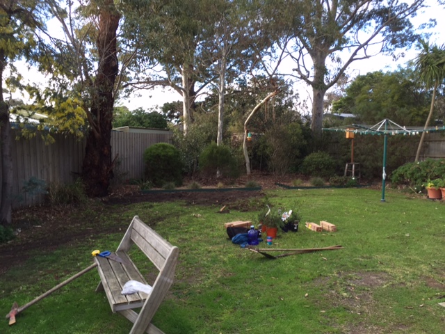 Garden transforming mount eliza maintenance