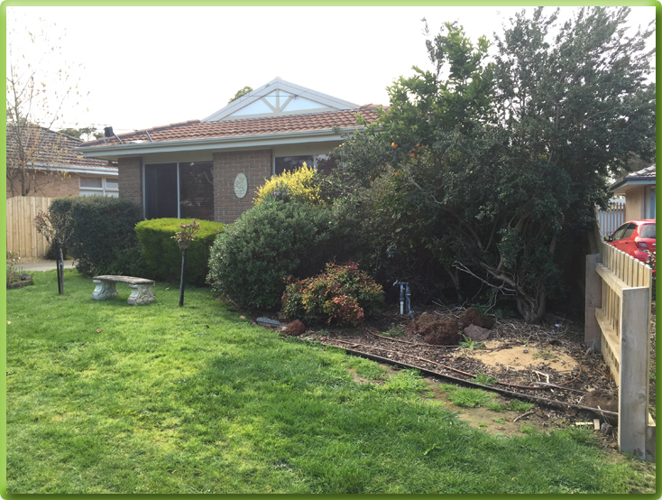 After Garden Design Mount Eliza Gardening