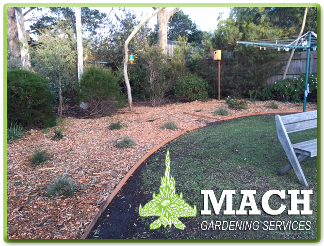 Garden transforming mount eliza maintenance
