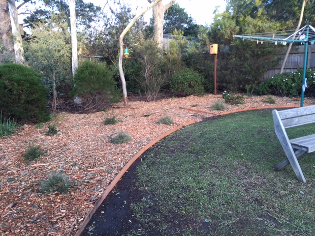 Garden transforming mount eliza maintenance