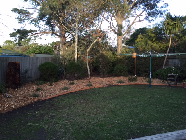 Garden transforming mount eliza maintenance