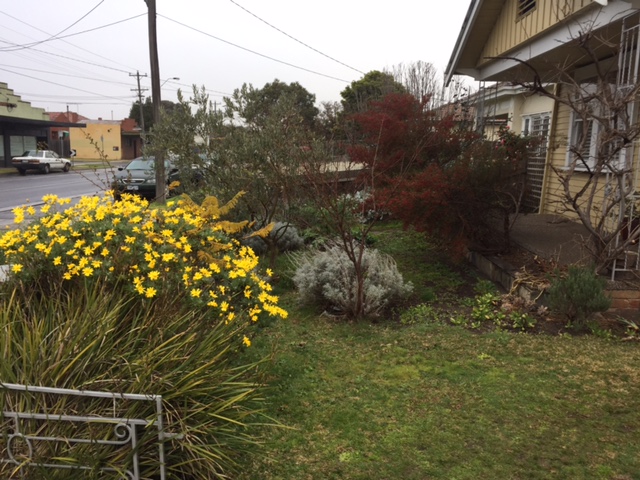 Landscaping Mount Eliza Gardening Maintenance Design