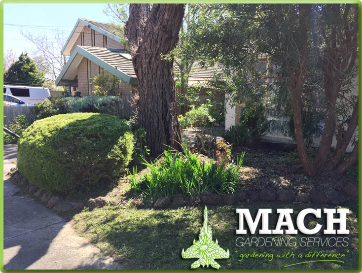 Garden Maintenance Mount Eliza