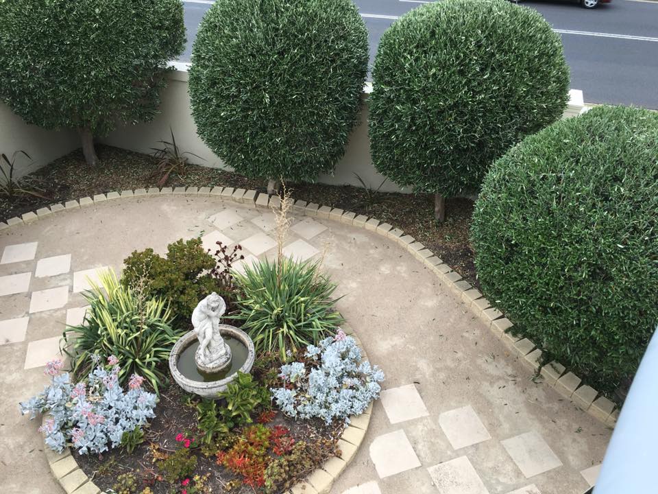 Pruning Gardening Mach Mount Eliza
