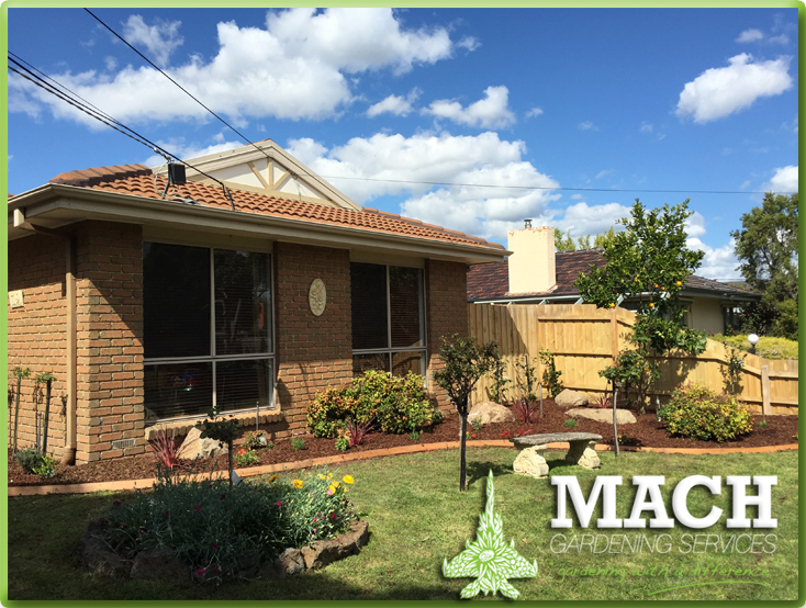 After Garden Design Mount Eliza Gardening