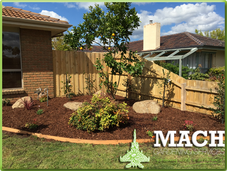 After Garden Design Mount Eliza Gardening