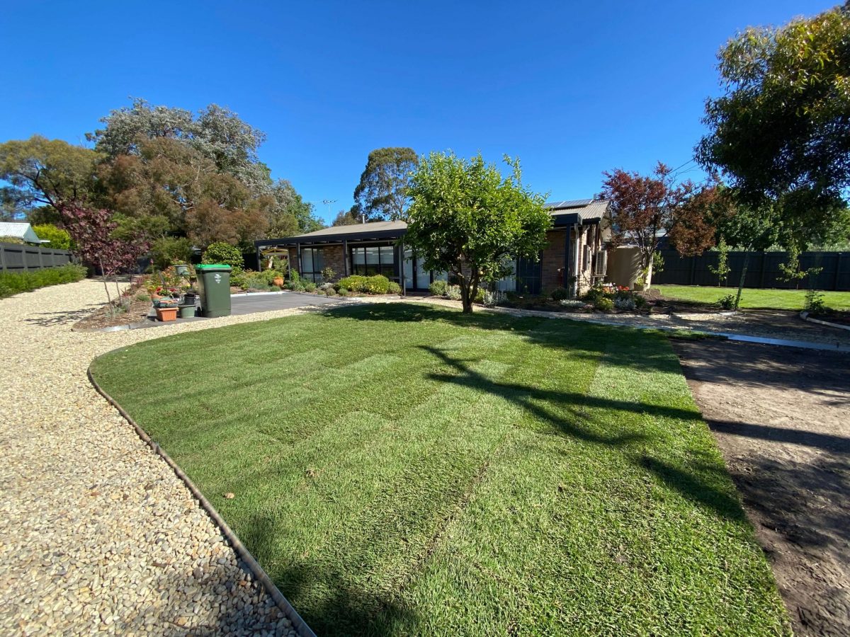 turf and new lawn mount eliza