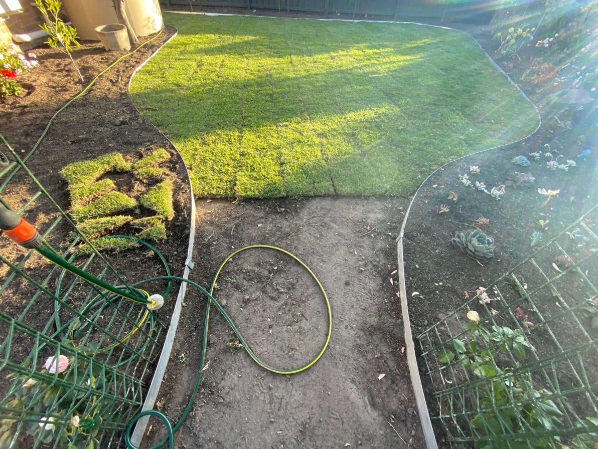 Mount Eliza garden planting and new lawn